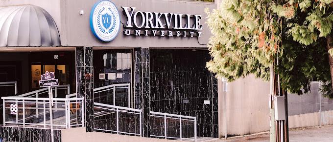 Yorkville University