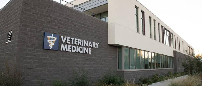 University of Veterinary Medicine